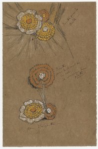 Studies of Rosettes by James Abbott McNeill Whistler